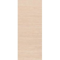 Flush Panel Doors - HMDF  