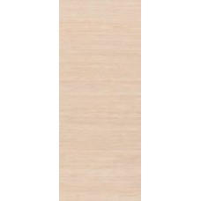 Flush Panel Doors - HMDF  