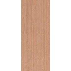 Flush Panel Doors - VMDF