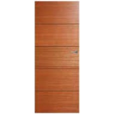 Linear-HLR250-internal-door